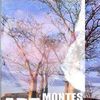 artmontes70